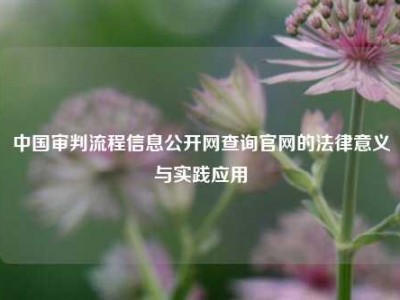 中国审判流程信息公开网查询官网的法律意义与实践应用