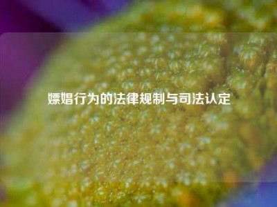 嫖娼行为的法律规制与司法认定