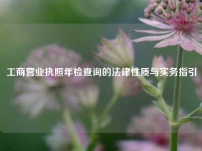 工商营业执照年检查询的法律性质与实务指引