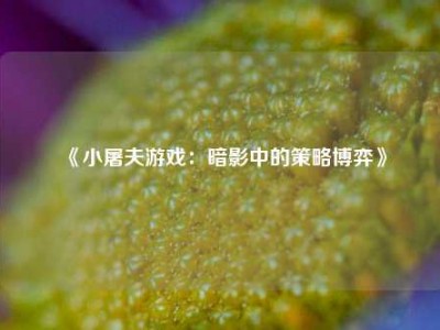 《小屠夫游戏：暗影中的策略博弈》