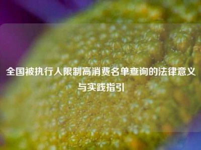 全国被执行人限制高消费名单查询的法律意义与实践指引