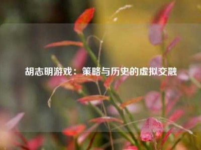 胡志明游戏：策略与历史的虚拟交融