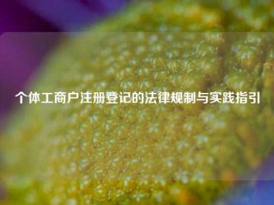 个体工商户注册登记的法律规制与实践指引