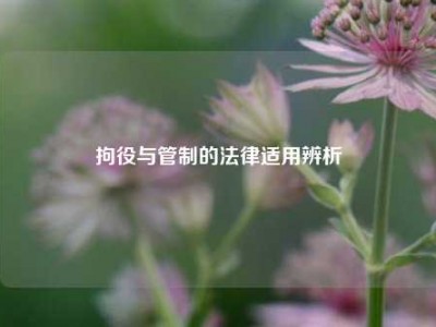 拘役与管制的法律适用辨析