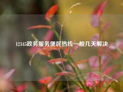 12345政务服务便民热线一般几天解决