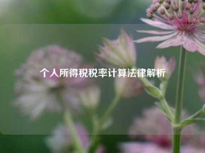 个人所得税税率计算法律解析