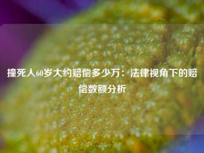 撞死人60岁大约赔偿多少万：法律视角下的赔偿数额分析
