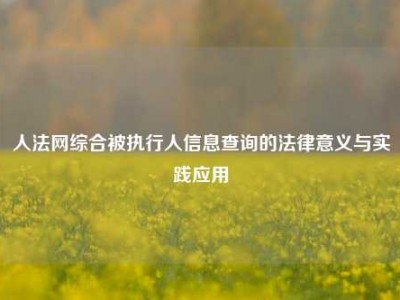 人法网综合被执行人信息查询的法律意义与实践应用
