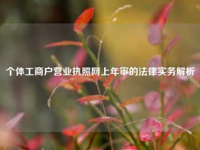 个体工商户营业执照网上年审的法律实务解析