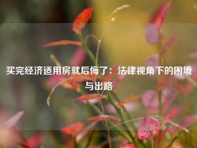 买完经济适用房就后悔了：法律视角下的困境与出路