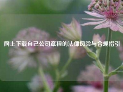 网上下载自己公司章程的法律风险与合规指引