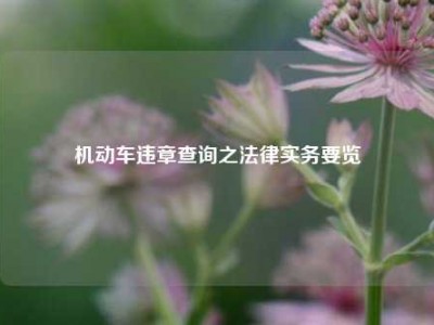 机动车违章查询之法律实务要览