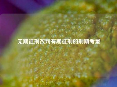 无期徒刑改判有期徒刑的刑期考量