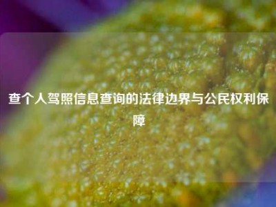 查个人驾照信息查询的法律边界与公民权利保障