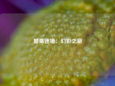 罂粟迷境：幻影之庭