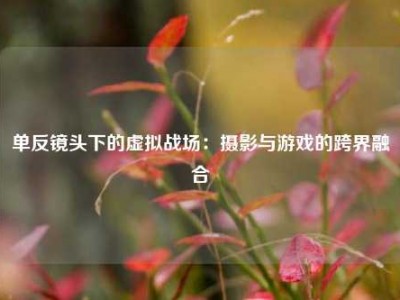 单反镜头下的虚拟战场：摄影与游戏的跨界融合