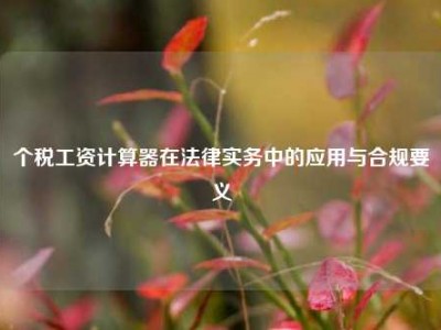 个税工资计算器在法律实务中的应用与合规要义