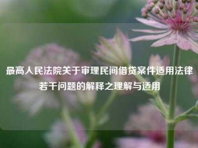 最高人民法院关于审理民间借贷案件适用法律若干问题的解释之理解与适用