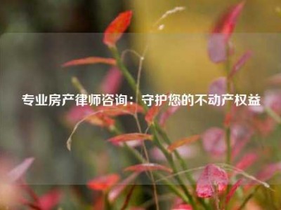 专业房产律师咨询：守护您的不动产权益