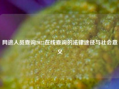 网逃人员查询2022在线查询的法律途径与社会意义