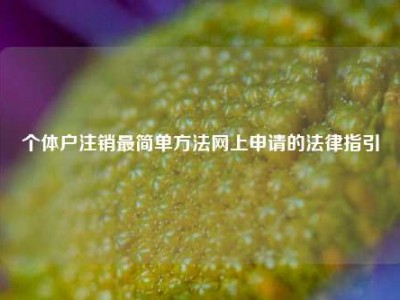 个体户注销最简单方法网上申请的法律指引