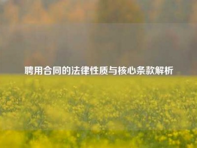 聘用合同的法律性质与核心条款解析