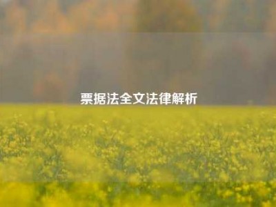 票据法全文法律解析