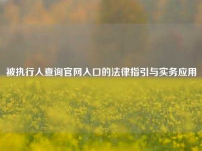 被执行人查询官网入口的法律指引与实务应用