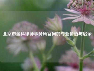 北京市盈科律师事务所官网的专业价值与启示
