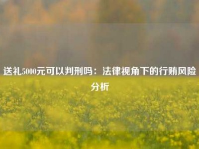 送礼5000元可以判刑吗：法律视角下的行贿风险分析