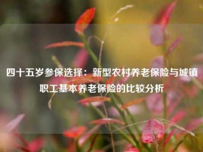 四十五岁参保选择：新型农村养老保险与城镇职工基本养老保险的比较分析