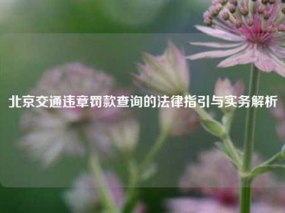 北京交通违章罚款查询的法律指引与实务解析