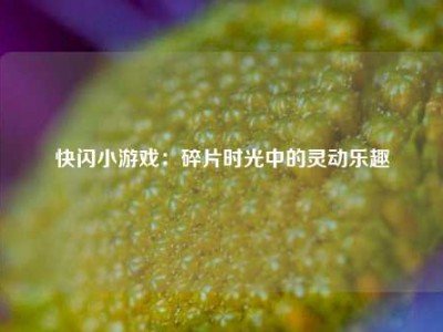 快闪小游戏：碎片时光中的灵动乐趣