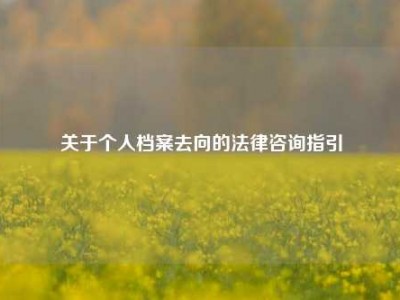 关于个人档案去向的法律咨询指引