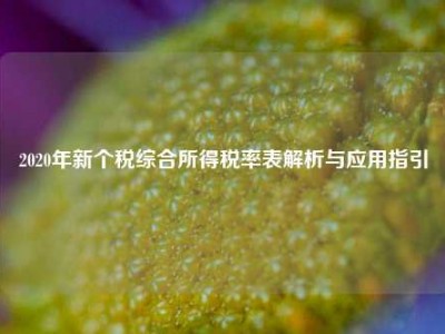 2020年新个税综合所得税率表解析与应用指引