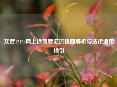 交管12123网上换驾驶证流程图解析与法律适用指引