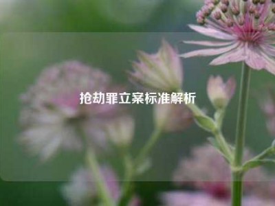 抢劫罪立案标准解析