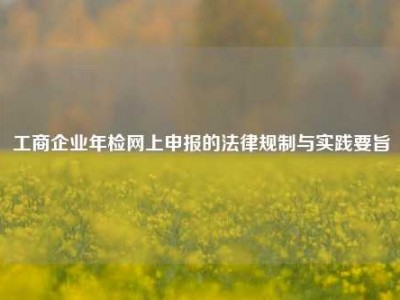工商企业年检网上申报的法律规制与实践要旨