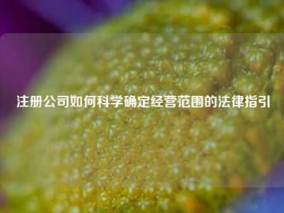 注册公司如何科学确定经营范围的法律指引