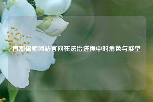 首都律师网站官网在法治进程中的角色与展望