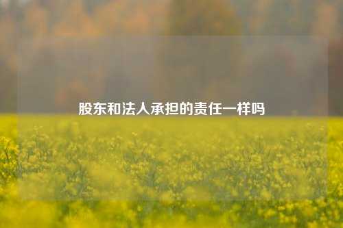 股东和法人承担的责任一样吗