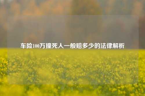 车险100万撞死人一般赔多少的法律解析