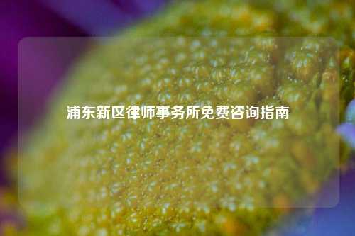 浦东新区律师事务所免费咨询指南