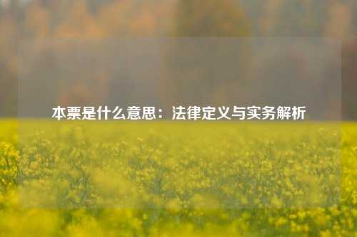 本票是什么意思：法律定义与实务解析