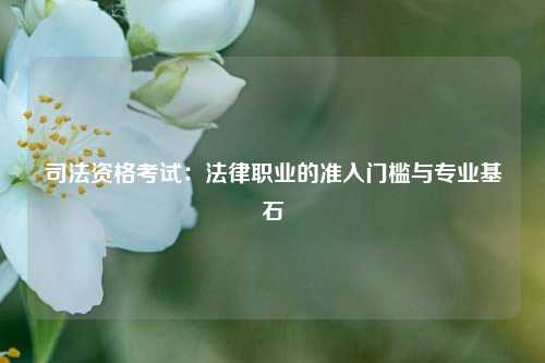 司法资格考试：法律职业的准入门槛与专业基石