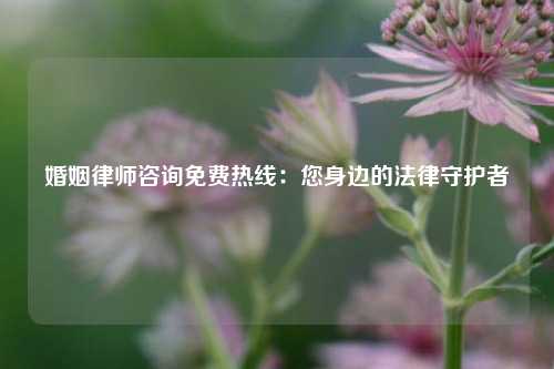 婚姻律师咨询免费热线：您身边的法律守护者
