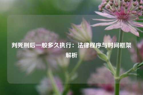 判死刑后一般多久执行：法律程序与时间框架解析