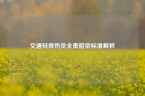 交通轻微伤负全责赔偿标准解析