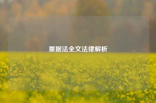 票据法全文法律解析