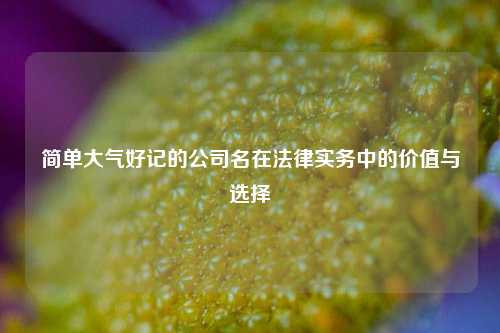 简单大气好记的公司名在法律实务中的价值与选择